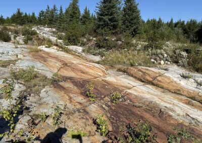 Photo of the SHGX trench. Mineralization is associated with the visibly rusty, mineralized portions of the trench