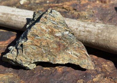 Sample collected from the SHGX trench with long needles of arsenopyrite (silver lath minerals) within a deformed, silicified, sericite-altered felsic volcaniclastic
