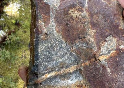 Outcrop sample collected from the heart of the Nemo anomaly with a silicified granodiorite mineralized with 2%-5% pyrite