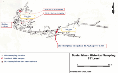 Athena Gold Samples up to 50.6 g/t Gold From Buster Mine at Excelsior Springs Project, Esmeralda County, Nevada